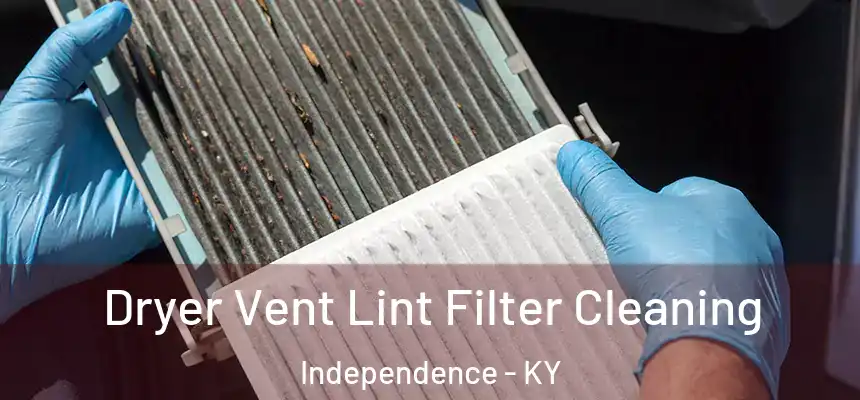  Dryer Vent Lint Filter Cleaning Independence - KY