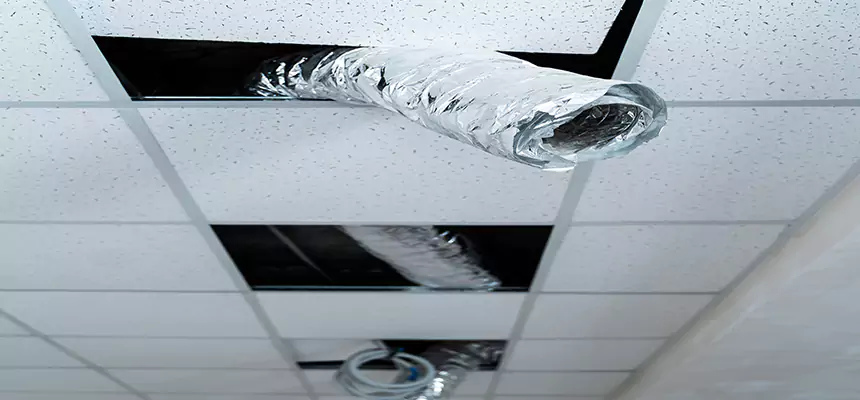 Our Air Duct Pet Hair Removal Services in Independence, KY