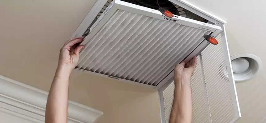 Our Insect Removal from Air Ducts Services in Independence, KY