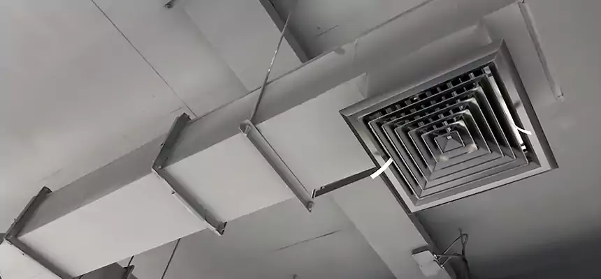 Our Rodent Droppings In Vents Services in Independence, KY