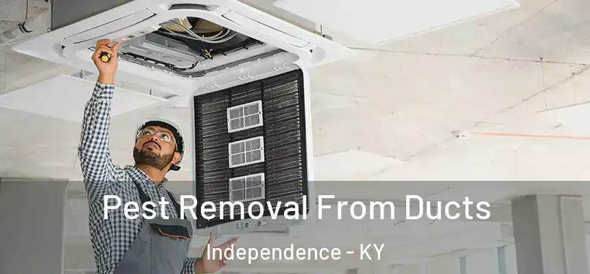  Pest Removal From Ducts Independence - KY