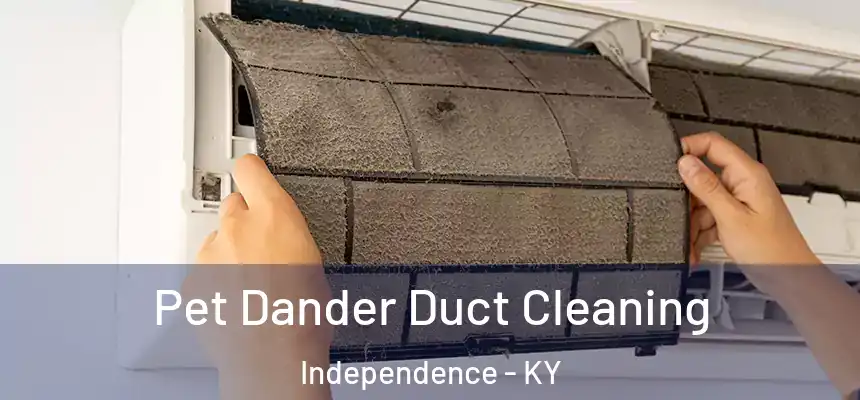  Pet Dander Duct Cleaning Independence - KY