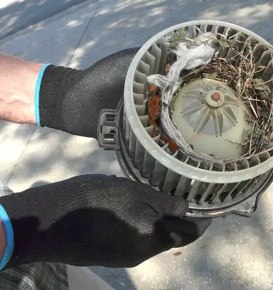 About Air Duct Rat Removal in Independence, KY