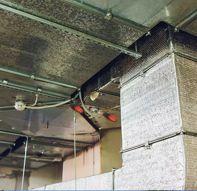 Why Homeowners & Businesses Trust Us in Independence, KY?