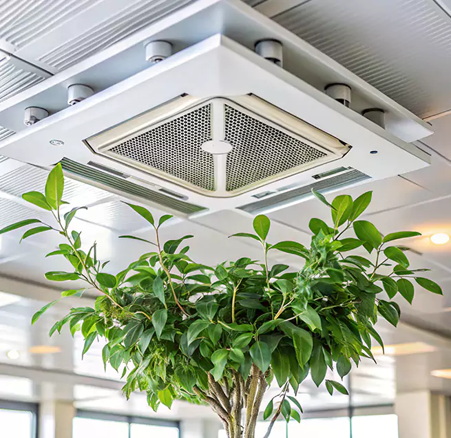 Why Homeowners & Businesses Trust Us in Independence, KY?